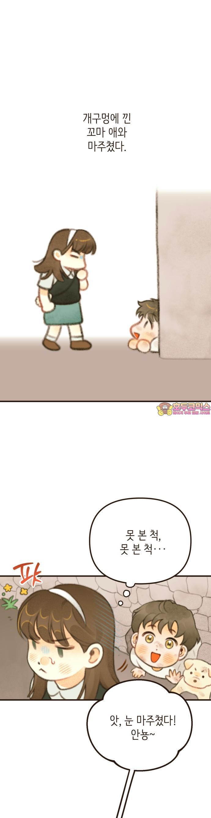 174304344369441tyto16rv.jpg