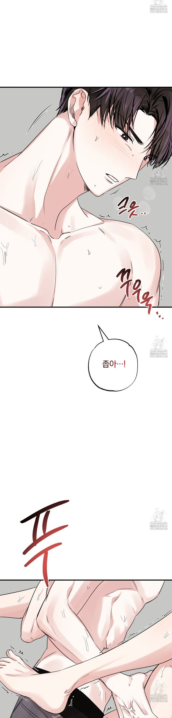1741124792174gh4y8zsy8yl.jpg