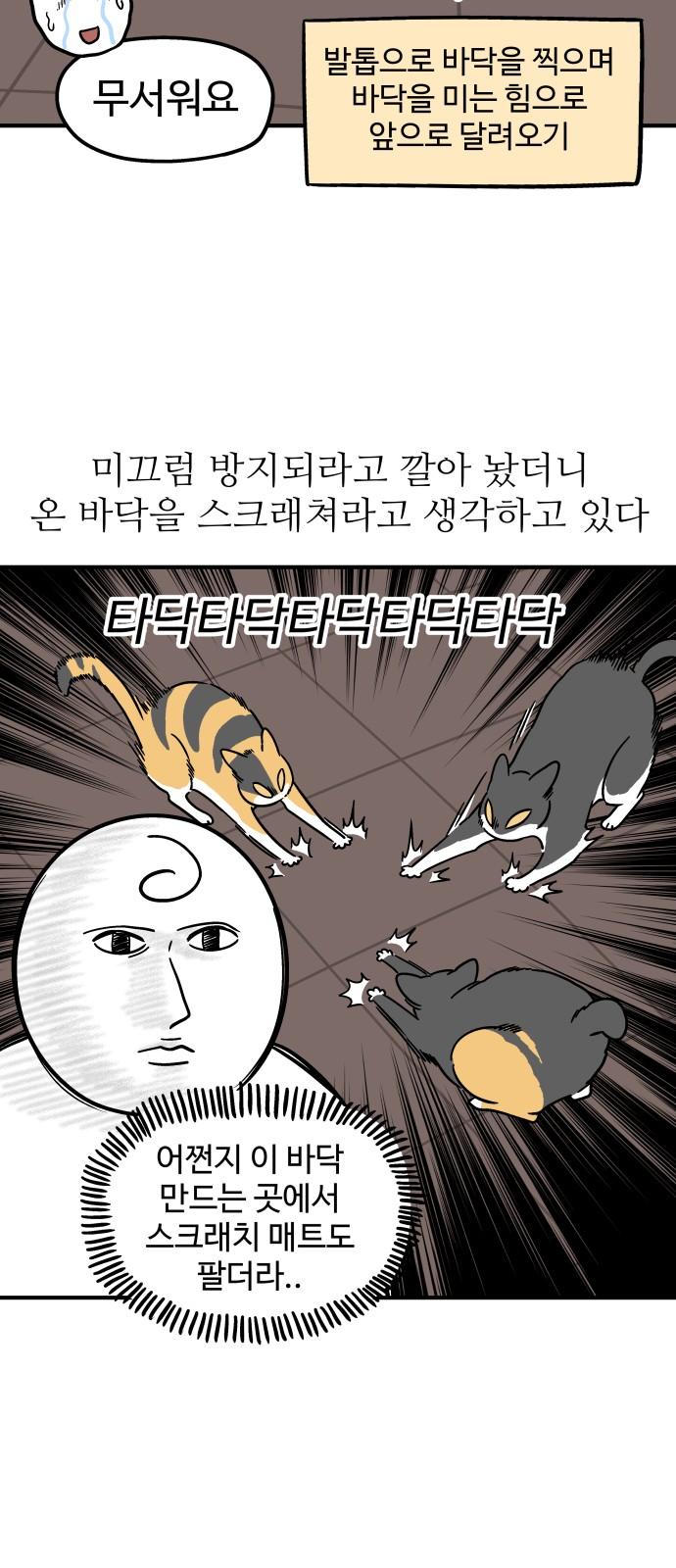 1745187647891hkc1cf0xtim.jpg