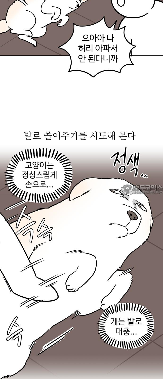 1745187649620vq4kim9gjkg.jpg
