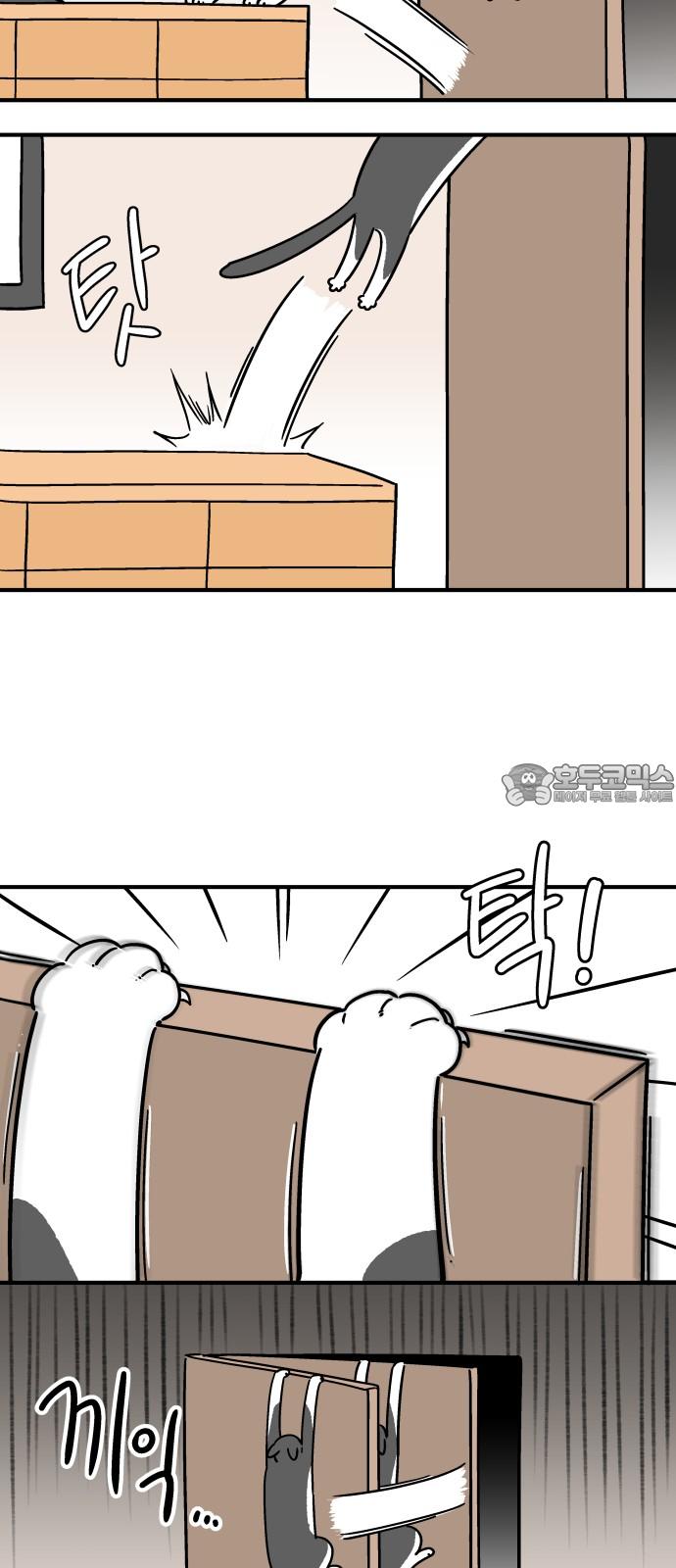 1743652700986r4zf5vvm2iq.jpg