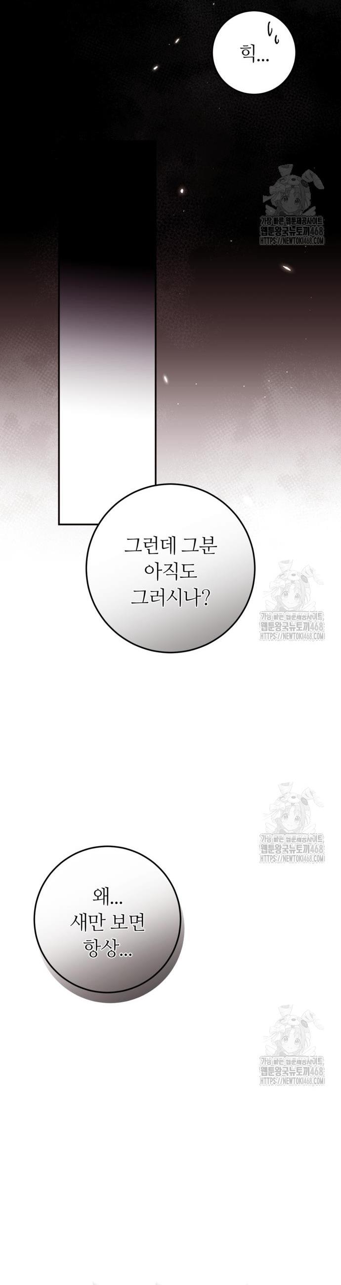 1743976412097s4ccrg50jpn.jpg