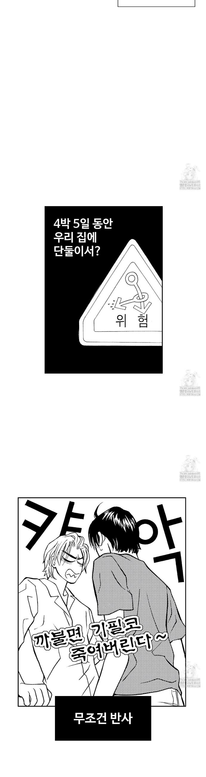 1743976235273v38bm5dnksk.jpg