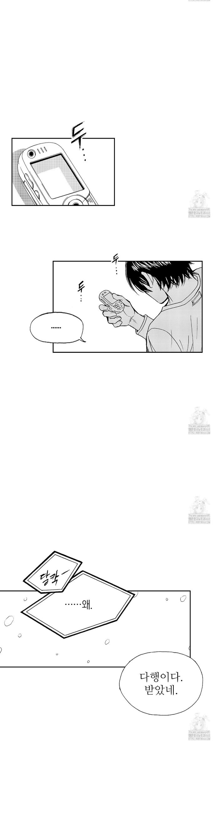 1743976309695cz19wnb303c.jpg