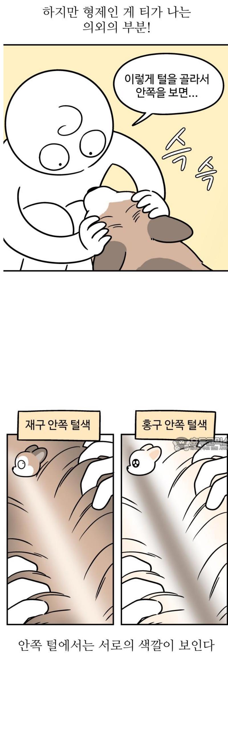 1746053383670butjwvm9seo.jpg