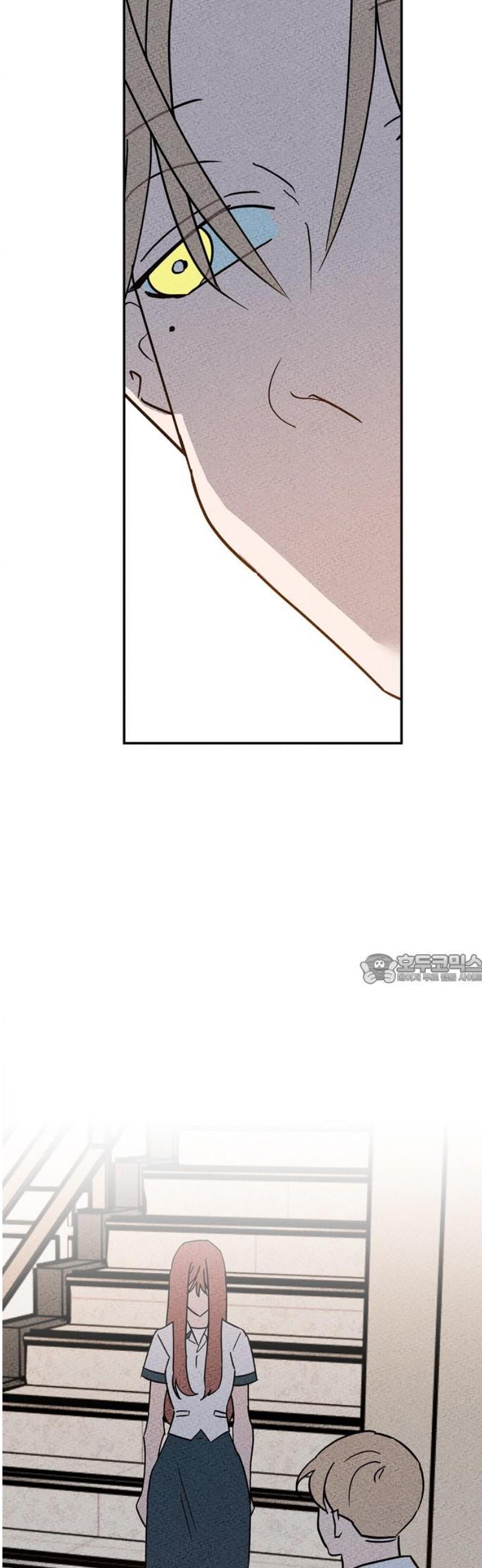 17469118991082izisea4d56.jpg