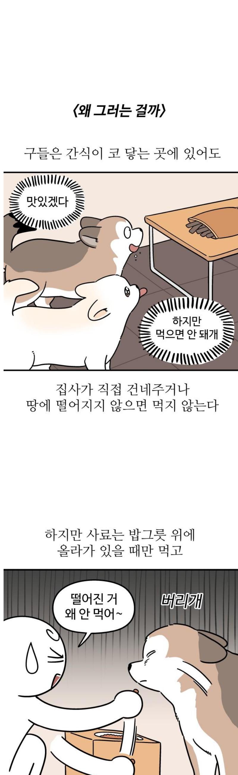 1746996991585m9ijk49kio.jpg