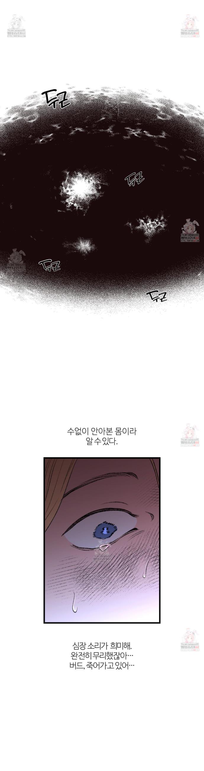 17471024976124z9lfrtbke.jpg