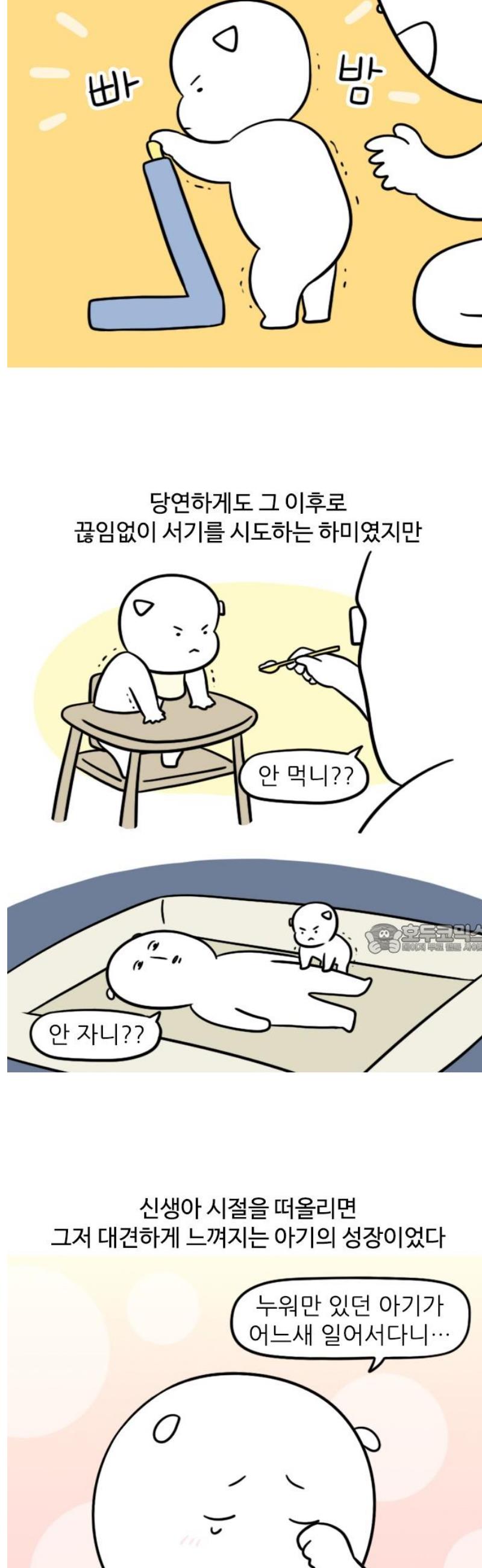 1747345141914uypoy1vmyif.jpg