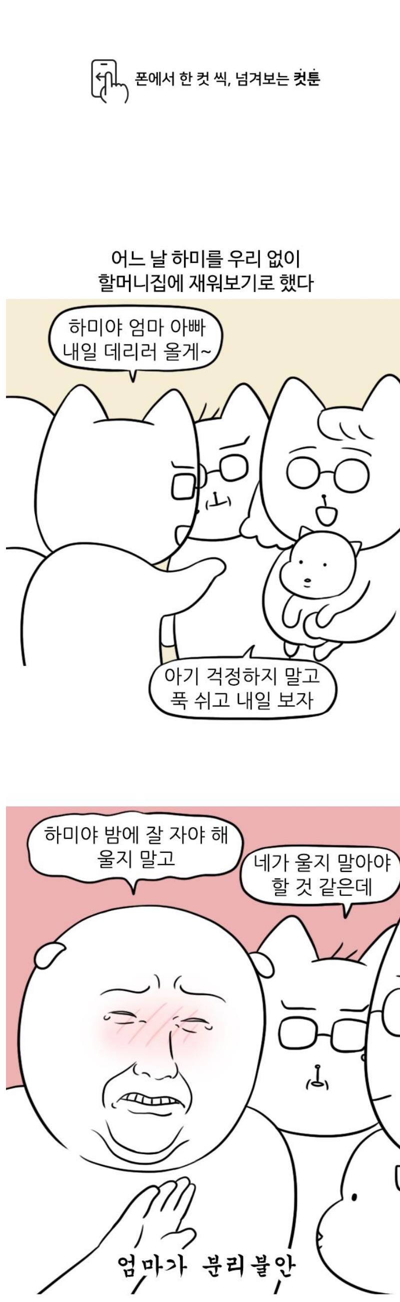 1747345191708kyxo4doh8jf.jpg