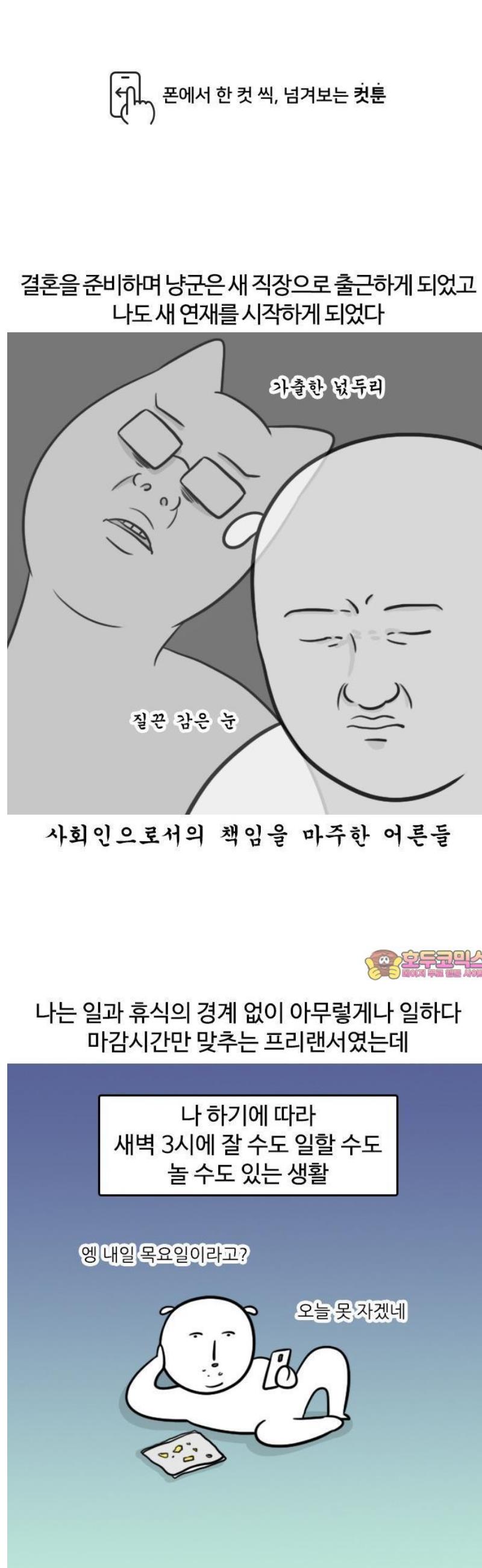 1747344865348j34uqsy3o78.jpg