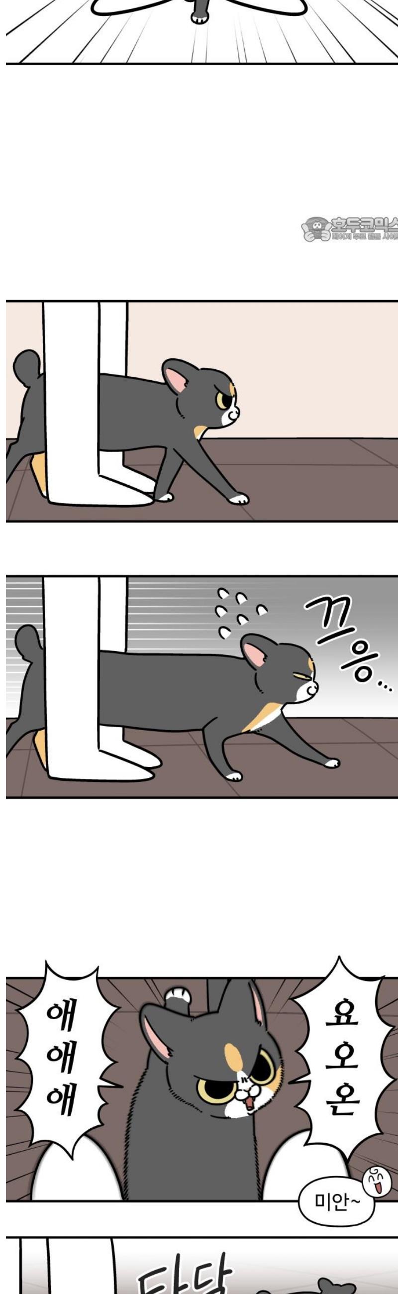 002.jpg