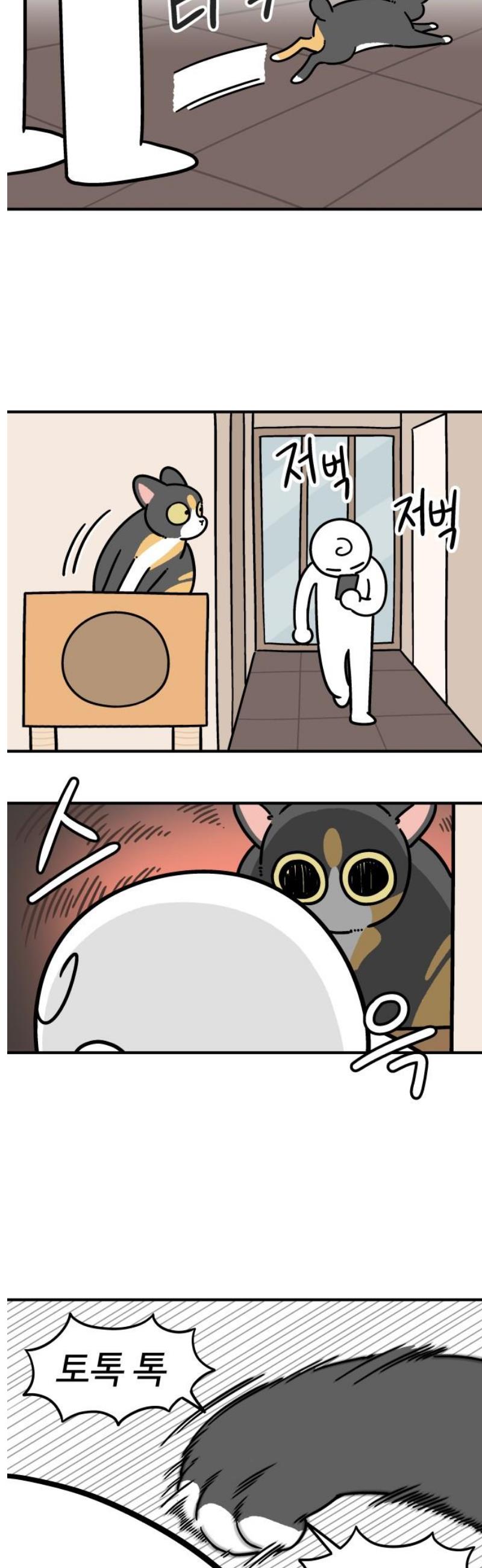 003.jpg