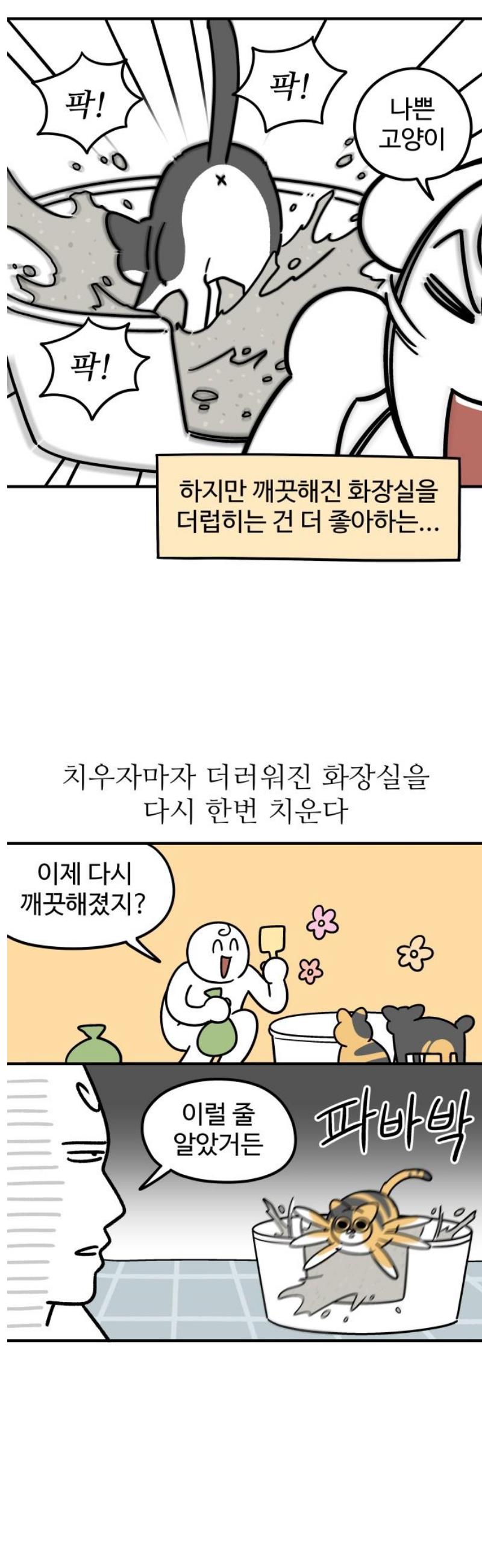 007.jpg