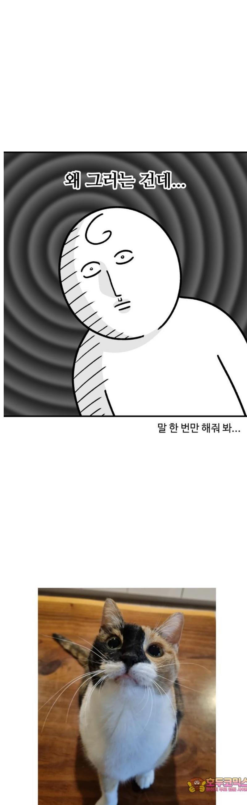 011.jpg