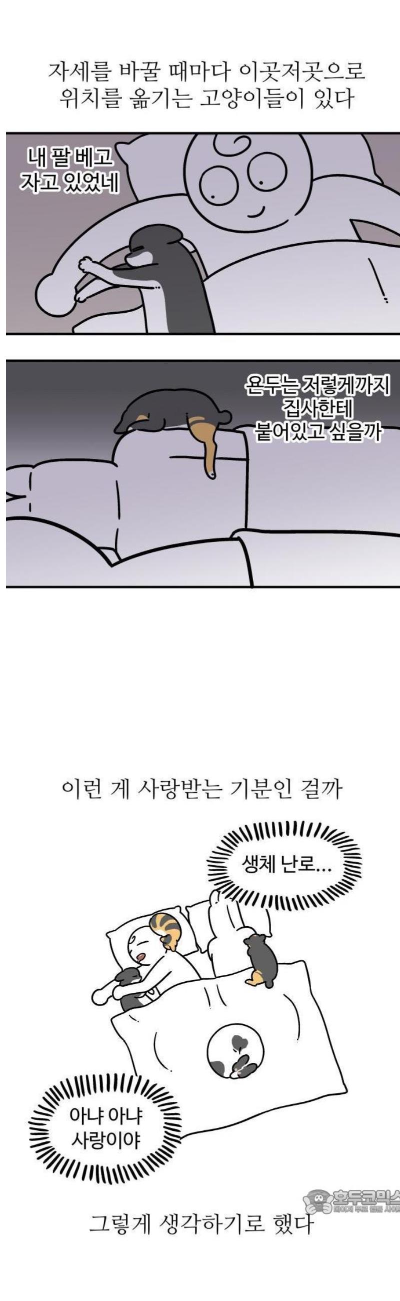 009.jpg