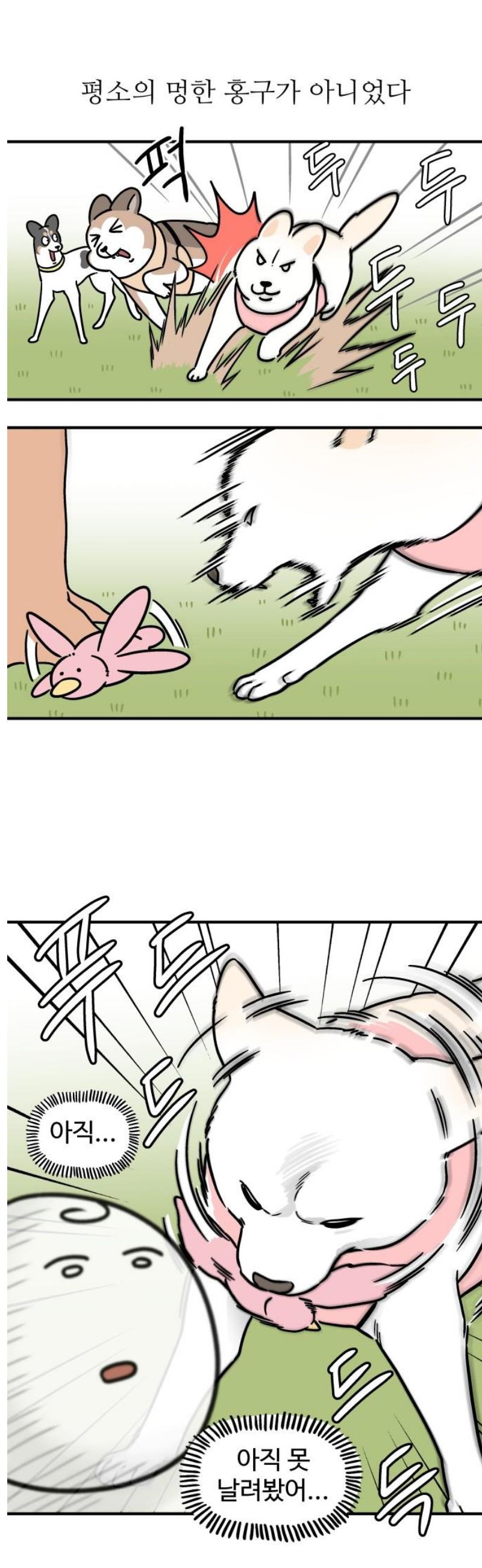 009.jpg