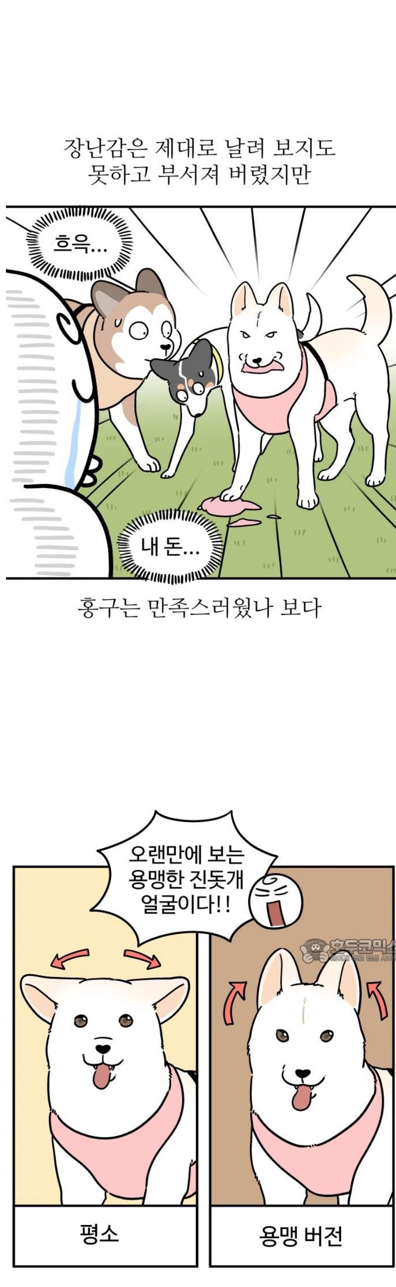 010.jpg