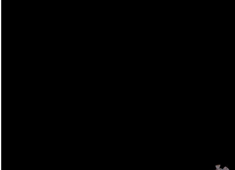 050.jpg