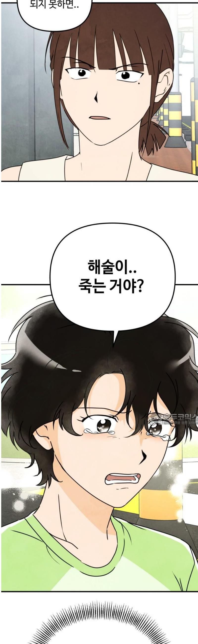 1746395218216gi0e5x44lew.jpg