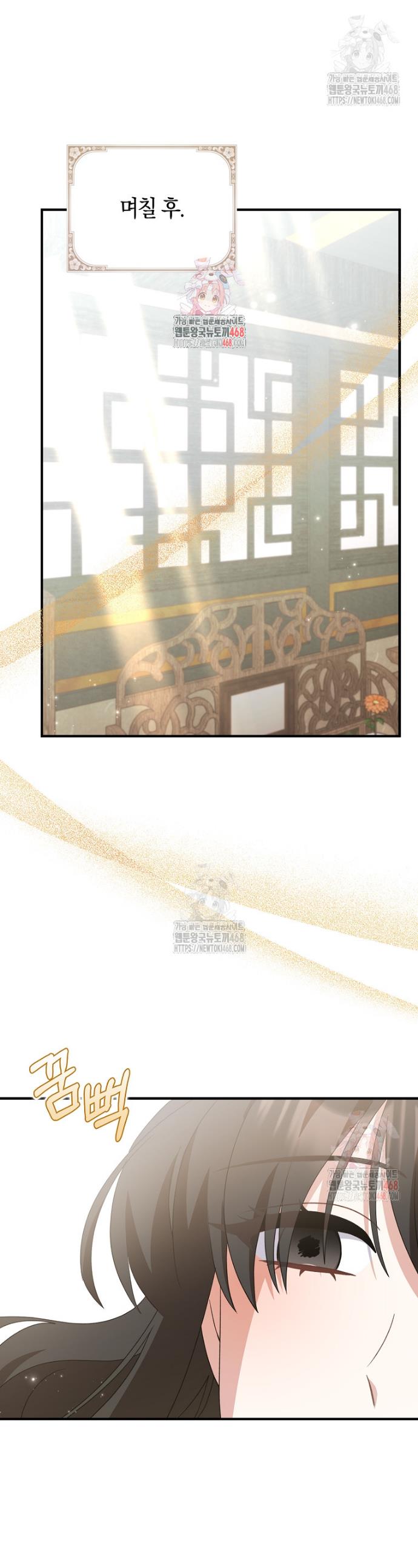 1746395440180obvppqc8gj.jpg