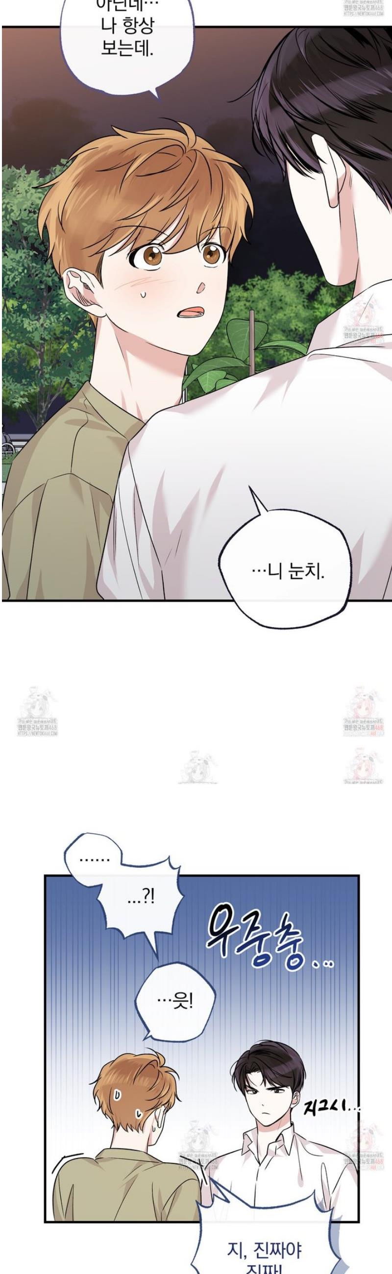 1746571279976o8aww4qf8kq.jpg