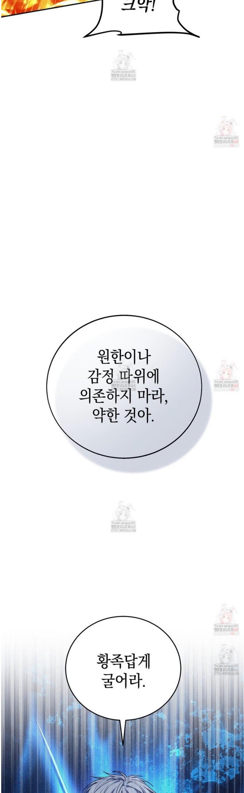 1746571558919napk3v075yg.jpg