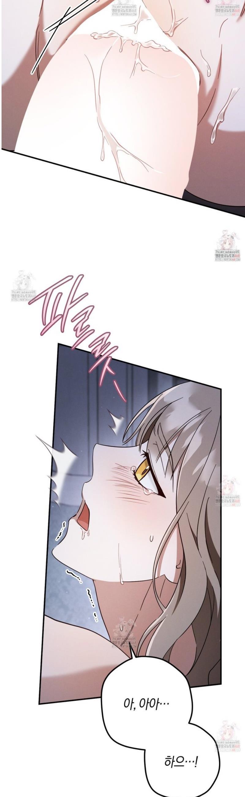 005.jpg